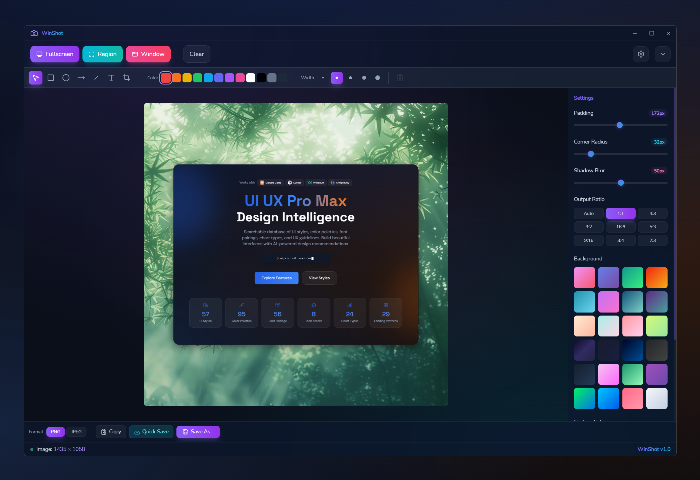 WinShot Main Interface